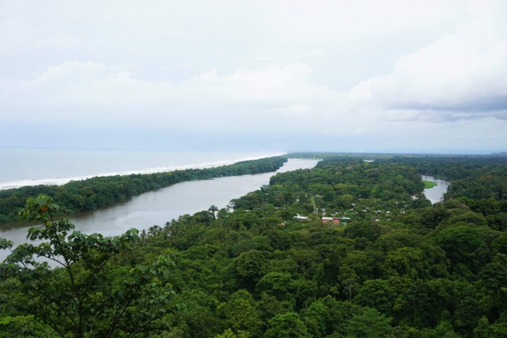 The Top 10 National Parks to Visit in 2024: Check Out Now